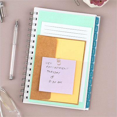 AT-A-GLANCE Glacier Weekly/Monthly Planner (AAG1727200)