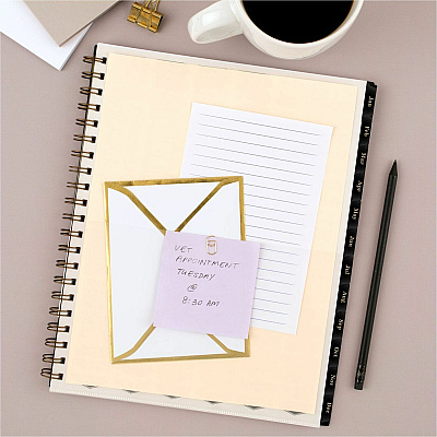 AT-A-GLANCE Radiate Weekly/Monthly Planner (AAG1725200)