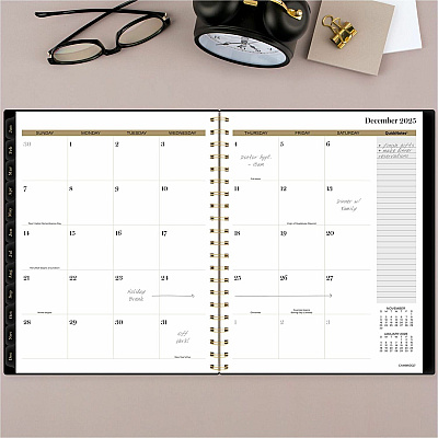 AT-A-GLANCE Radiate Weekly/Monthly Planner (AAG1725200)