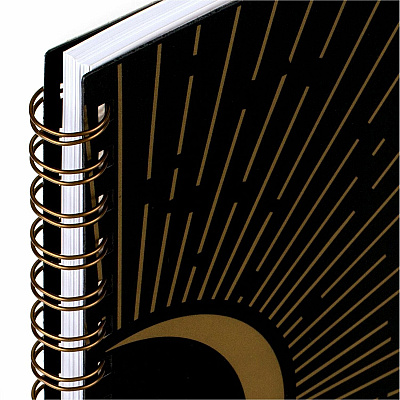 AT-A-GLANCE Radiate Weekly/Monthly Planner (AAG1725200)