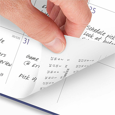 AT-A-GLANCE Badge Geo Planner (AAG1722G905)