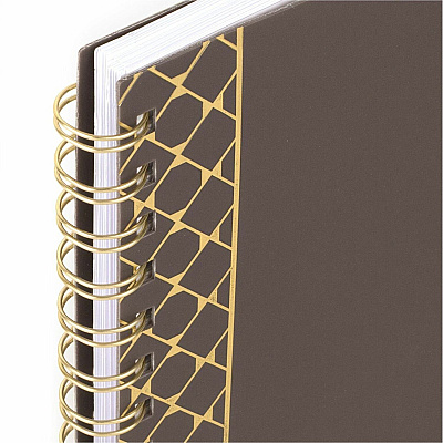 Cambridge WorkStyle Focus Planner (AAG160620004)