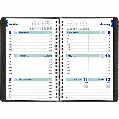 Rediform Plan and Link Weekly Appointment Planner (REDC507581T)