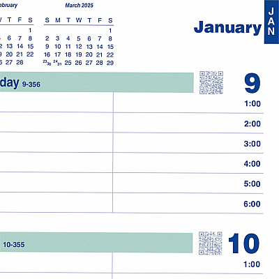 Rediform Plan and Link Weekly Appointment Planner (REDC507581T)