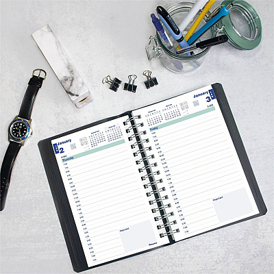 Rediform Plan and Link Daily Appointment Planner (REDC1504W81)