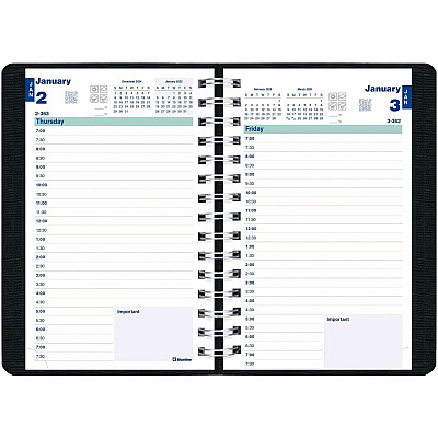 Rediform Plan and Link Daily Appointment Planner (REDC1504W81)