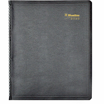 Rediform Plan and Link Weekly Appointment Planner (REDC595081T)