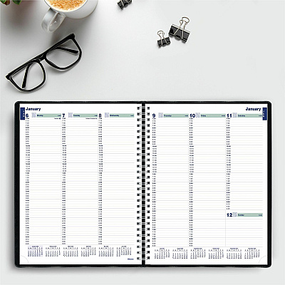 Rediform Plan and Link Weekly Appointment Planner (REDC595081T)