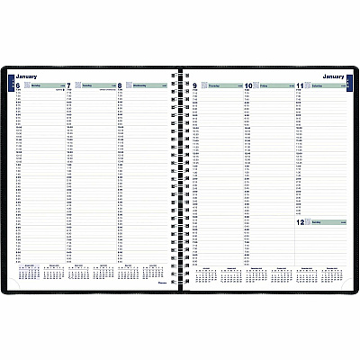 Rediform Plan and Link Weekly Appointment Planner (REDC595081T)
