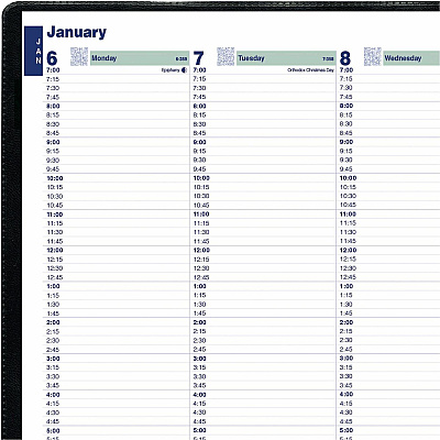 Rediform Plan and Link Weekly Appointment Planner (REDC595081T)