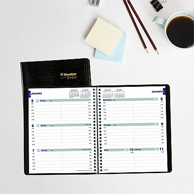 Rediform Plan and Link Weekly Appointment Planner (REDC527581T)