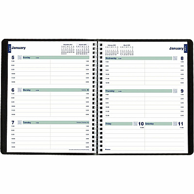 Rediform Plan and Link Weekly Appointment Planner (REDC527581T)