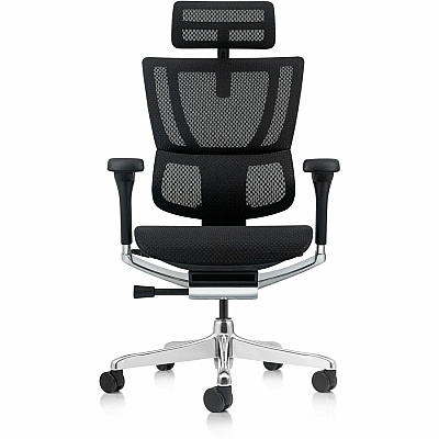 Raynor Ergohuman Xtreme Executive Chair (ME2ERGXTRM)