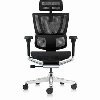 Raynor Ergohuman Xtreme Executive Chair (ME2ERGXTRM)