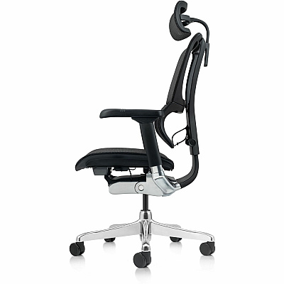 Raynor Ergohuman Xtreme Executive Chair (ME2ERGXTRM)