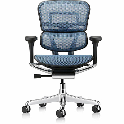 Eurotech ErgoHuman Gen2 Executive All-Mesh Chair (ME8ERGLOG2BL)