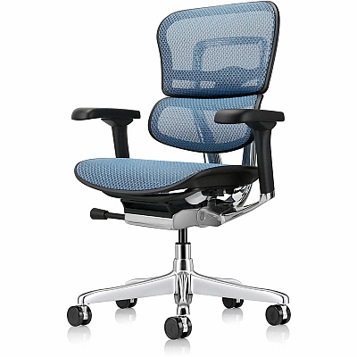 Eurotech ErgoHuman Gen2 Executive All-Mesh Chair (ME8ERGLOG2BL)