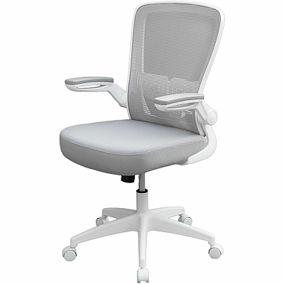 BOSS Flip Arm Mesh Back Task Chair (6366WTGY)