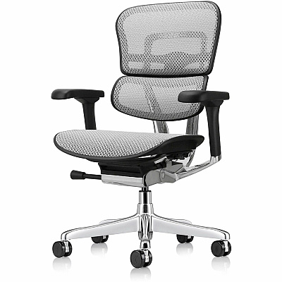 Eurotech ErgoHuman Gen2 Executive All-Mesh Chair (ME8ERGLOG2GY)