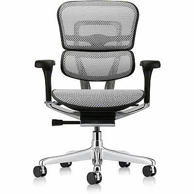 Eurotech ErgoHuman Gen2 Executive All-Mesh Chair (ME8ERGLOG2GY)