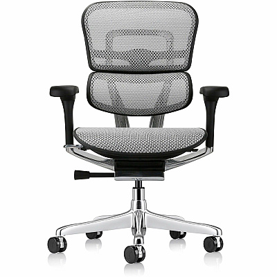 Eurotech ErgoHuman Gen2 Executive All-Mesh Chair (ME8ERGLOG2GY)