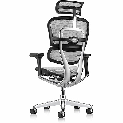 Eurotech ErgoHuman Gen2 Executive All-Mesh Chair (ME7ERGG2GY)