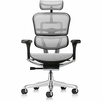 Eurotech ErgoHuman Gen2 Executive All-Mesh Chair (ME7ERGG2GY)
