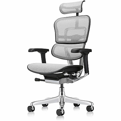 Eurotech ErgoHuman Gen2 Executive All-Mesh Chair (ME7ERGG2GY)
