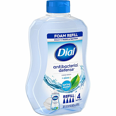 Dial Complete Foaming Hand Wash (DIA35087CT)