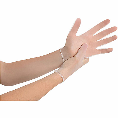 BLUZEN Powder-Free Vinyl Gloves (RMLVIN101SCT)