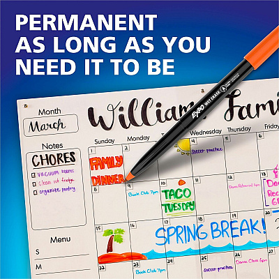 EXPO Vis-A-Vis Wet-Erase Markers (16001A)