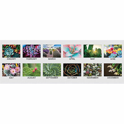 House of Doolittle Recycled Succulent/Cacti Desk Pad (121)
