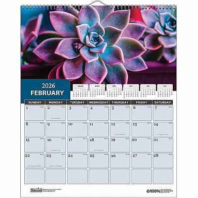 House of Doolittle Recycled Succulent & Cacti Wall Calendar (317)