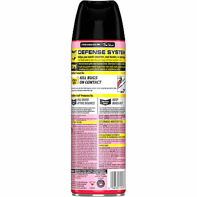 Raid Ant & Roach Killer Spray (386220)