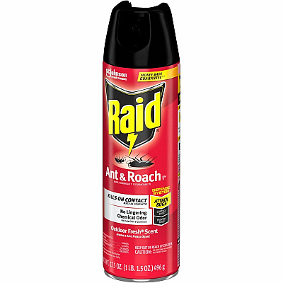 Raid Ant & Roach Killer Spray (386220CT)