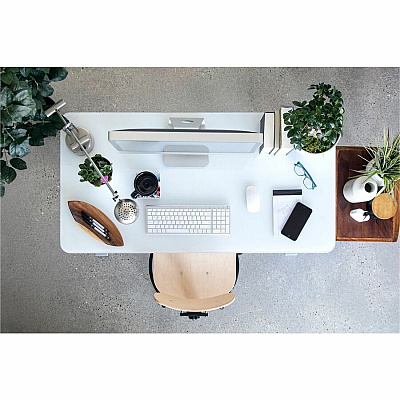 BEVCO Plywood Series Chair (15025)