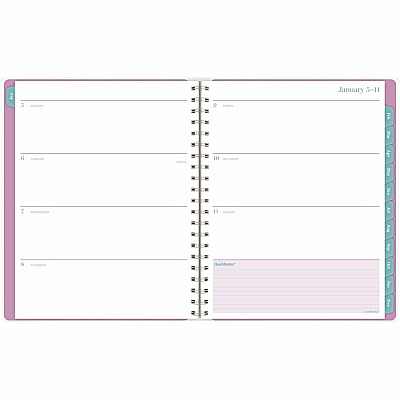 AT-A-GLANCE Neo Weekly Monthly Planner (1764905)
