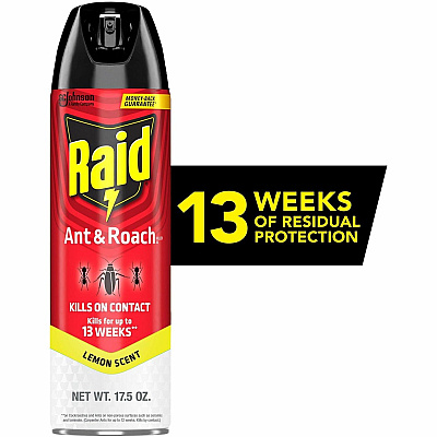 Raid Ant & Roach Killer Spray (386214)