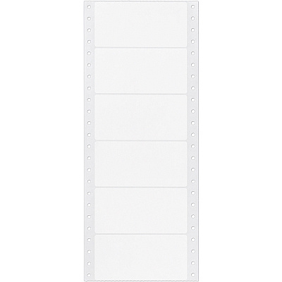 Avery Address Label (AVE4022)
