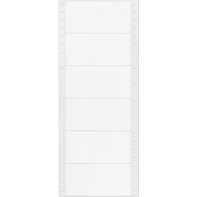 Avery Address Label (AVE4022)