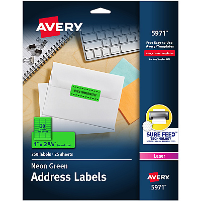 Avery Shipping Labels (AVE5971)