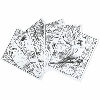 Crayola Bird Watching Coloring Book Printed Book (041133)
