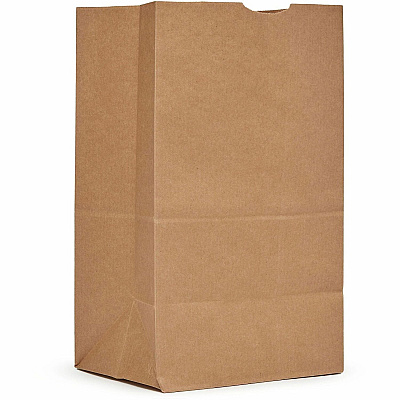 AJM Packaging Packaging Packaging AJM Packaging Packaging Paper Grocery Bags (SQ40NP5C)