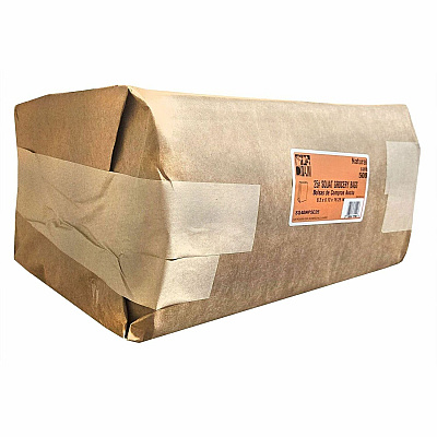 AJM Packaging Packaging Packaging AJM Packaging Packaging No. 25 Natural-Kraft Paper Bags (SQ40NP5C25)