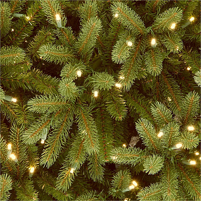 National Tree Company Company Company National Tree Company Company Jersey Fraser Fir Christmas Tree - Green (729083971624)