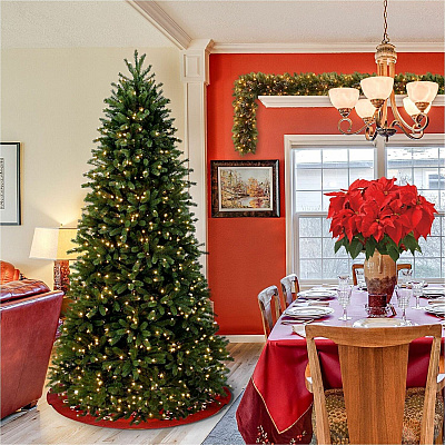 National Tree Company Company Company National Tree Company Company Jersey Fraser Fir Christmas Tree - Green (729083971624)