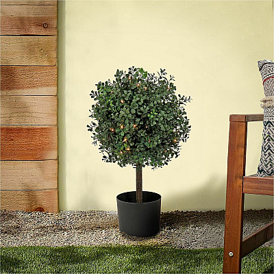 National Tree Company Company Company National Tree Company Company Boxwood Topiary Tree (729083527173)