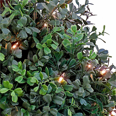 National Tree Company Company Company National Tree Company Company Boxwood Topiary Tree (729083527173)