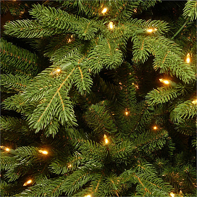 National Tree Company Company Company National Tree Company Company Christmas Tree - Green (729083786181)