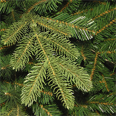 National Tree Company Company Company National Tree Company Company Christmas Tree - Green (729083277672)